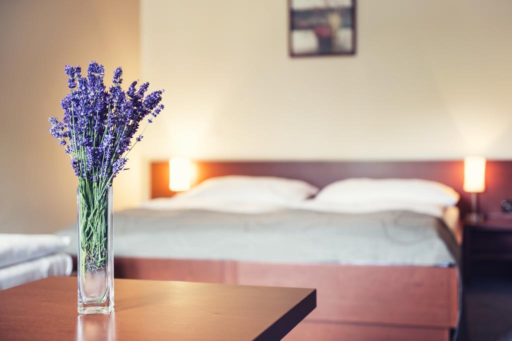 Hotel Skanzen 벨레라드 객실 사진